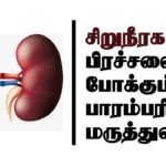 How To Cure Kidney Stone Naturally In Tamil | Kidney Pain | Tamil Herbal Medicine