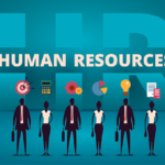 4 Best Certifications for HR Professionals