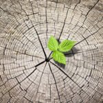 Ecomaniac- A team thriving for environmental sustainability
