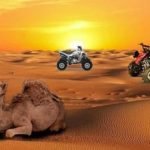 Desert Safari Deals