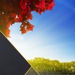Top App Development Company In France