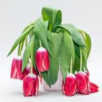 Burning out: Why employers must worry | Workplace Stress