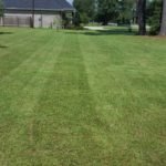 Lawn Care Services Lake Charles LA