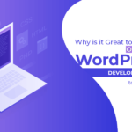 Why Outsourcing to WordPress Development Company in India Rocks?