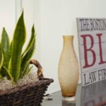 Leading Georgia Attorney by The Boston Law Firm