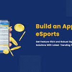 Well Experienced Esports App Development Partner