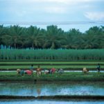 Fascinating South India Tour Pakages | Ram World Travel