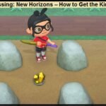 Animal Crossing: New Horizons – How to Get the King Tut Mask