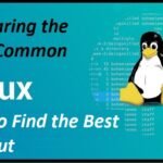 Comparing the Most Common Linux Shell to Find the Best One Out