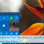 Notifications Not Working on Windows 10? Here are the Fixes