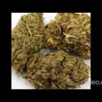 Weed for sale online cheap