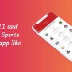 What is Dream 11 and how to develop a Sports Fantasy Cricket app like Dream 11?