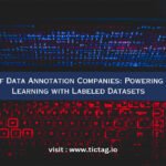 The Rise of Data Annotation Companies: Powering Machine Learning with Labeled Datasets