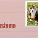 Shop Spooky Halloween Pet Costumes from Dynacart