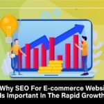 Why SEO For E-commerce Business Is Important In The Rapid Growth