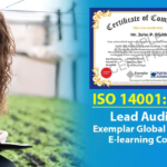 ISO 14001 Lead Auditor Training for a Greener Planet