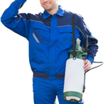 Ant Pest Control Companies | Ant Pest Control Abu Dhabi