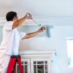 Expert Painting Services for Flats and Villas