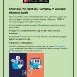 Top Rated SEO Company In Chicago | Moz Web Media