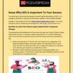 Achieve Success with SEO Strategies Tailored for the USA Market