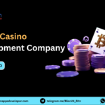 Bitcoin Casino Software Development