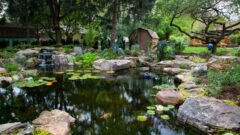 Eco-Friendly Landscaping: The Advantages of Pondless Waterfalls