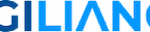 Holiday List of All State and Union Territories – Official 2025 Calendar by Digiliance  Description: