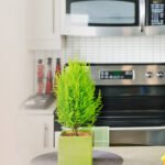 Best Housekeeping Services Bangalore-JP Nagar-Banashankari