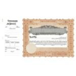 Goes 132 Corporate Stock Certificate Form