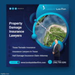 Insurance Lawyers in Texas