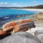 Wild Tasmania Tours