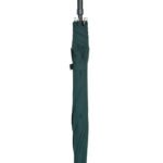 Walking Stick Umbrella with Green Canopy and Fritz Handle
