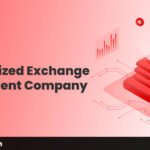 Decentralized Exchange Development for Custom DeFi Platforms