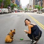 Advanced Veterinary Expertise for NYC Pet Families