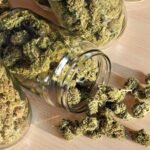 How Do You Pick Indica Strains from a Weed Dispensary in Oshawa?