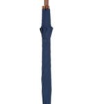 Walking Stick Umbrella with Blue Canopy and Crook Handle