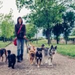 How Often Should You Book Services with Hoboken Dog Walkers?