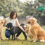 How Can Dog Daycare in NJ Fit Into a Weekly Care Routine?