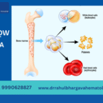 Bone Marrow Transplant in India for Zambian Patients