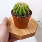 Geometric Octagon Shelves Oak Mini Marvel