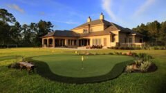 Expert Landscaping Solutions