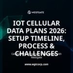 IoT Cellular Data Plans 2026: Setup Timeline, Process & Challenges