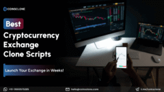 Best Crypto Exchange Clone Scripts for Web3 Startups