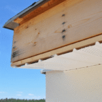 Fascia And Soffit Installation