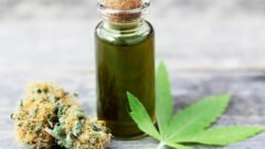 How to Buy Weed Online in BC: Is There Anything You are Missing?