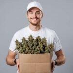 Is BC Weed Delivery the Ultimate Solution for Your Home Wellness?