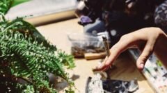 Why is Finding a Dispensary in Oshawa Becoming More Vital Now?