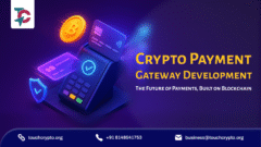 Crypto Payment Gateway Development Company