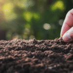 Rich Compost For Thriving Plant Life
