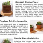 Square Wall Shelves Style Small Shelf Oak Elegance